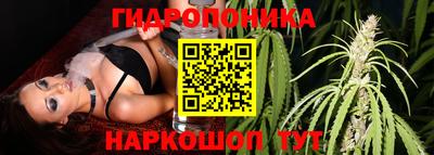 ГАЛЛЮЦИНОГЕННЫЕ ГРИБЫ Будённовск