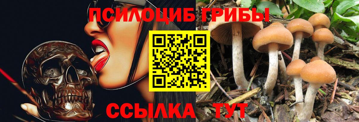 Псилоцибиновые грибы Psilocybine cubensis  даркнет сайт  Галлюциногенные грибы мицелий  Старая Купавна  Вход с VPN 
